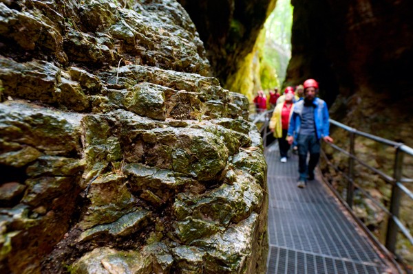 Canyon Rio Sass Fondo - Mendola