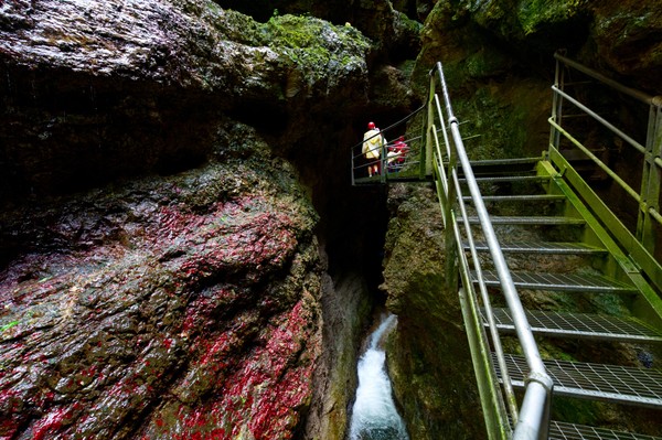 Canyon Rio Sass Fondo - Mendola