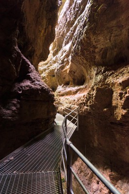 Canyon Rio Sass Fondo - Mendola