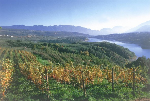 Photo gallery Val di Non