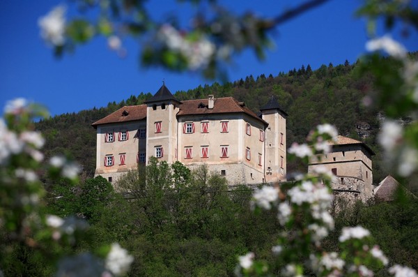 Bildergalerie
