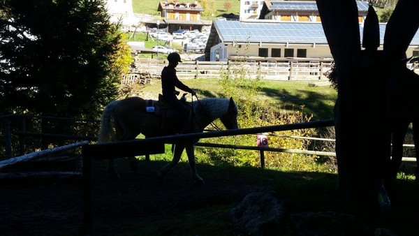 Activities Val di Non
