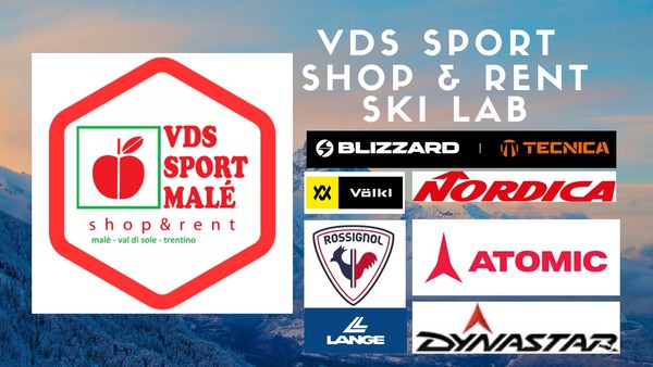 Logo VDS Sport