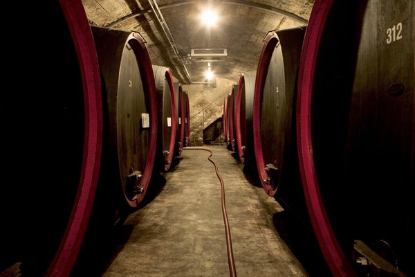 La cantina dei vini Caldaro Paese (Strada del Vino Nord) Erste + Neue Kellerei