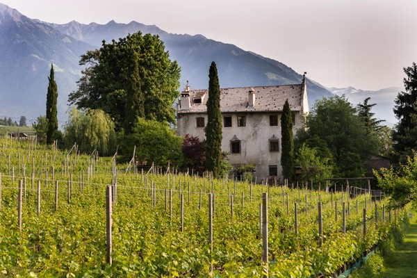 Photo exteriors Winery Kränzelhof