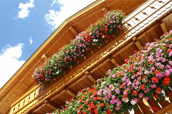 Foto del balcone Vilin