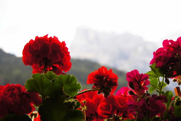 Foto del balcone Vilin
