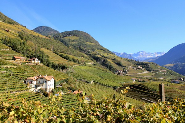 Panorama Bolzano