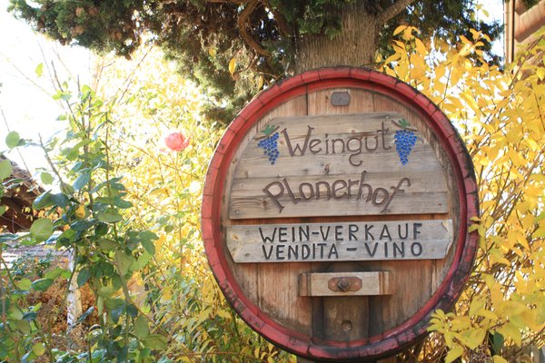 La cantina dei vini Bolzano Tenuta Plonerhof