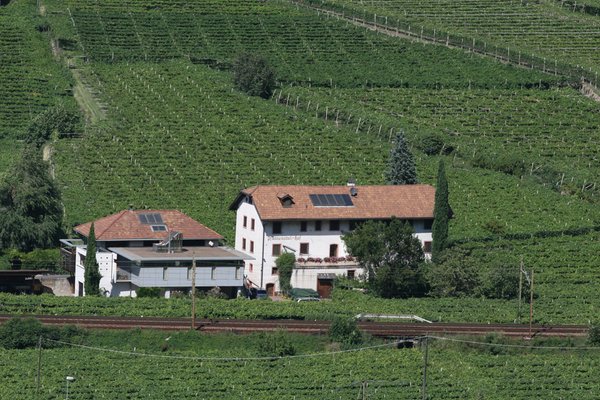 Foto di presentazione Azienda vinicola Pfannenstielhof