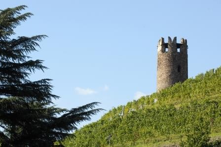 Panorama Bolzano