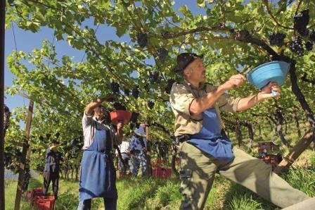 La cantina dei vini Bolzano Tenuta Hans Rottensteiner
