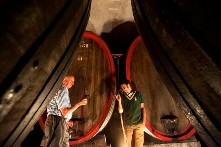 La cantina dei vini Bolzano Tenuta Hans Rottensteiner