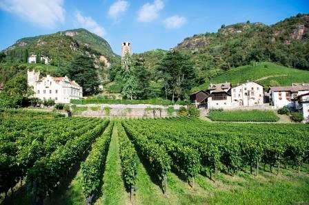 La posizione Azienda vinicola Tenuta Hans Rottensteiner Bolzano