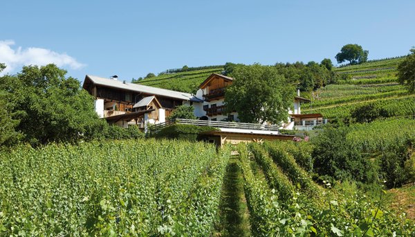 Foto estiva di presentazione Azienda vinicola Strasserhof