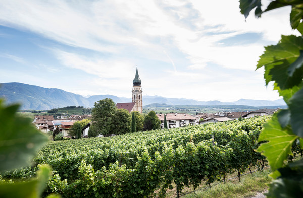 Foto del giardino Appiano sulla Strada del Vino