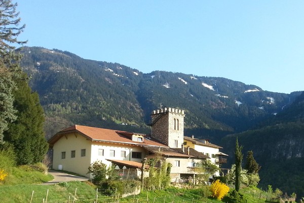 Photo exteriors Winery Maso Thaler