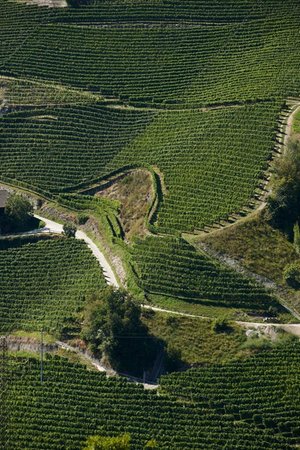 La posizione Cantina Valle Isarco Chiusa