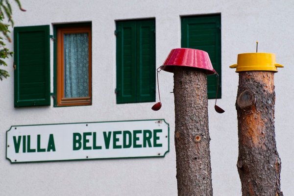 Foto Außenansicht Ferienwohnungen Villa Belvedere