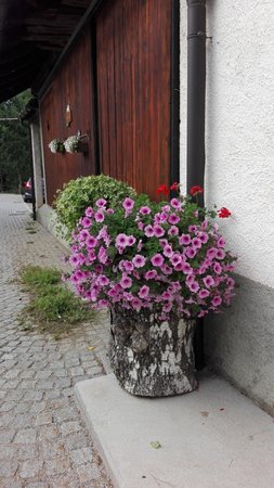 Foto del giardino Tarvisio