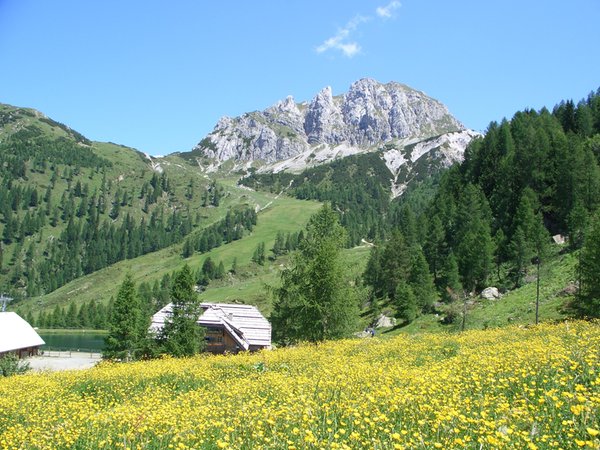 Bildergalerie Sommer
