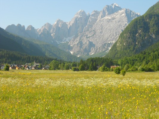 Bildergalerie