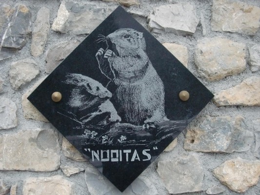 Foto Außenansicht Hotel Nuoitas