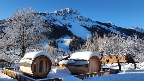 Photo of the garden Forni di Sopra (Friulian Alps)