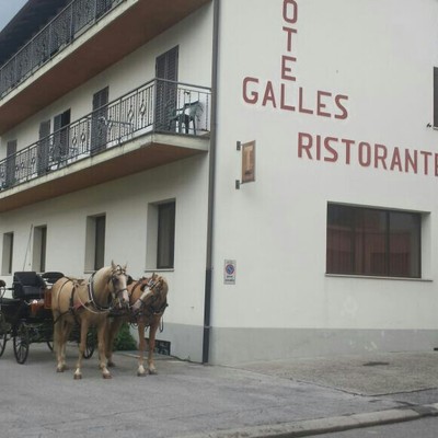 Foto Außenansicht Hotel Galles
