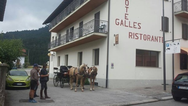 Foto Außenansicht Hotel Galles