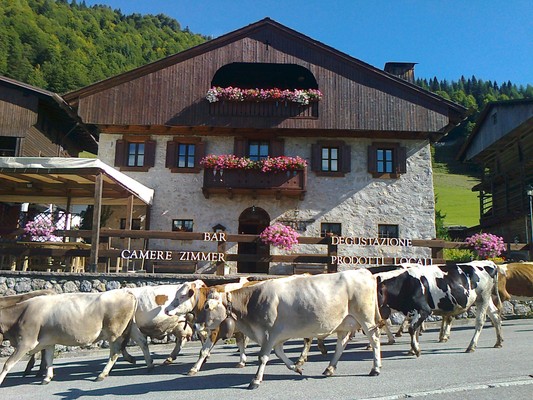 Foto esterno Albergo Pa' Krhaizar