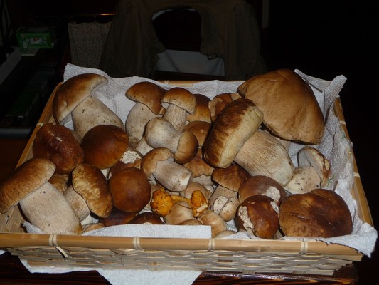 Rezepte und Gourmet-Gerichte Locanda San Gallo