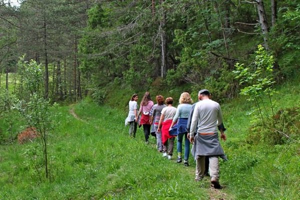 Bildergalerie Sommer
