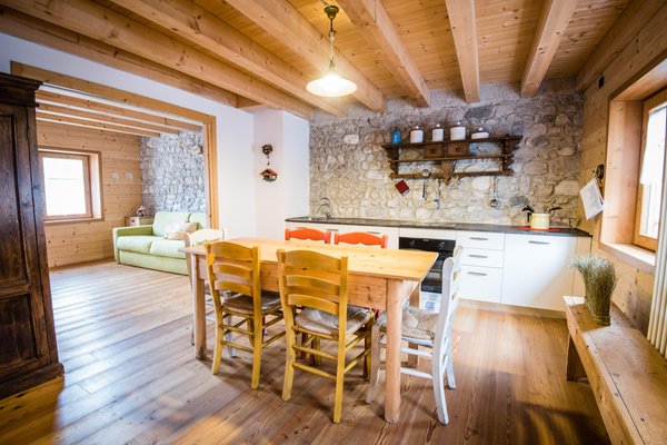 The living area Scattered hotel Lago di Barcis - Dolomiti Friulane