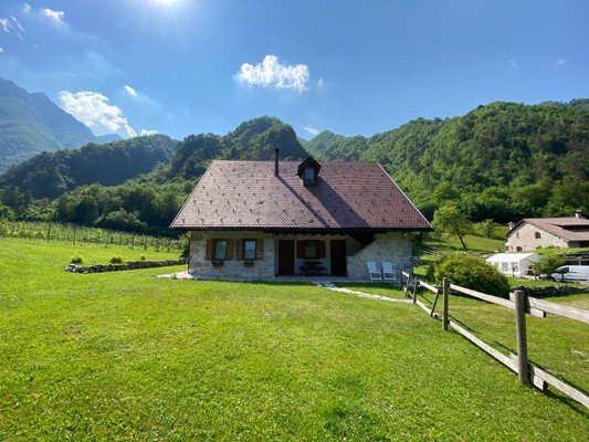 Foto esterno B&B + Appartamenti in agriturismo Pian dei Tass