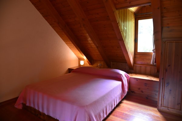 Foto della camera B&B + Appartamenti in agriturismo Pian dei Tass