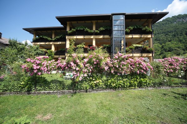 Photo exteriors in summer Valcellina e Val Vajont