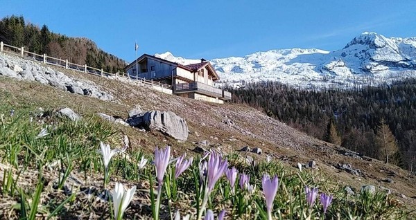 Foto esterno Rifugio Pradut