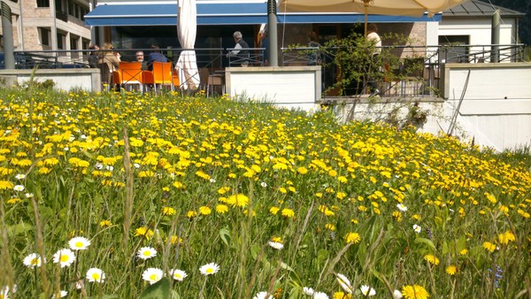 Foto der Terrasse