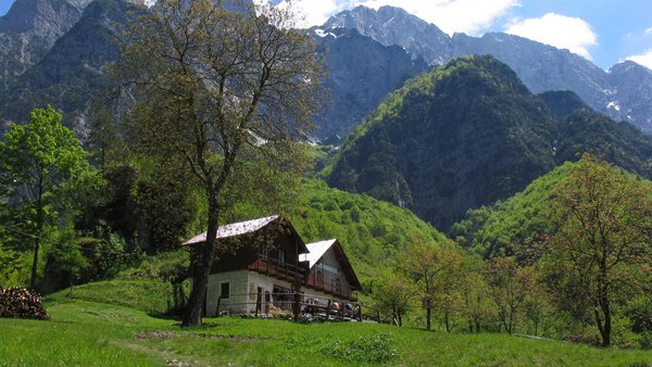 Sommer Präsentationsbild Berghütte Casera Ditta