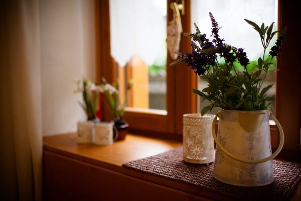 Photo of some details Bucaneve
