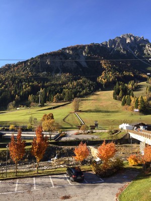 Foto vom Garten Forni di Sopra (Friauler Alpen)