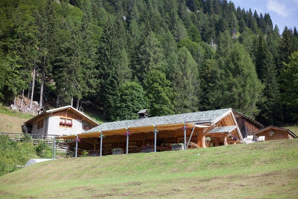 Sommer Präsentationsbild Berghütte La Suita