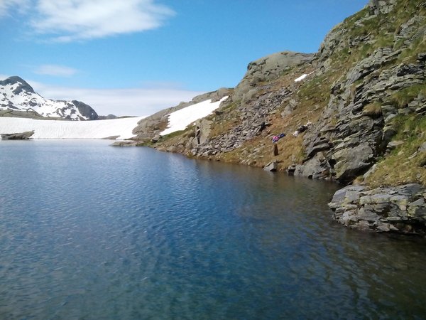 Photo gallery summer
