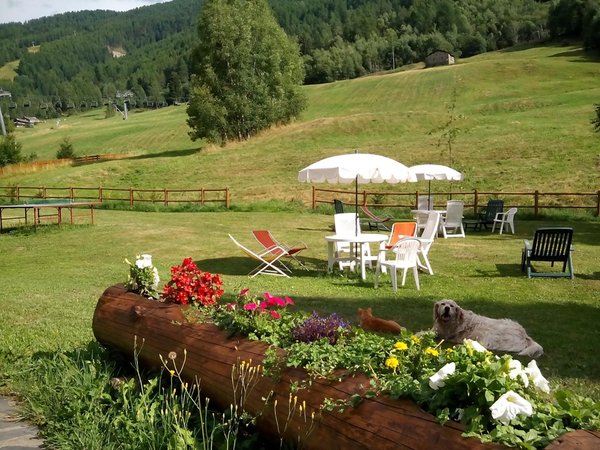 Photo of the garden Aprica (Tirano - Media Valle)
