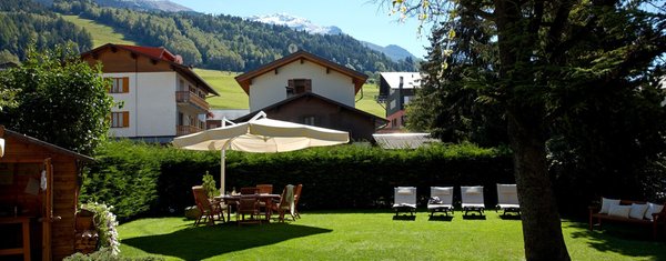 Photo of the garden Bormio