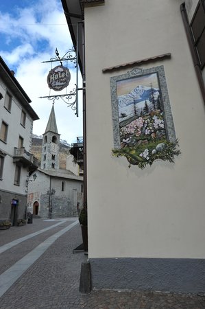 Foto esterno in estate Silene