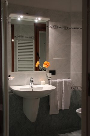 Foto del bagno Albergo Bucaneve