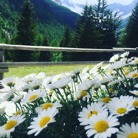 Foto di alcuni dettagli Gembro