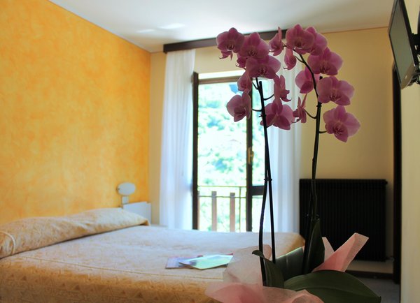 Foto della camera Hotel Meublé La Betulla